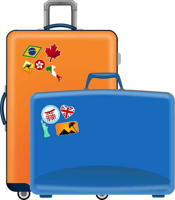 Travel Bags