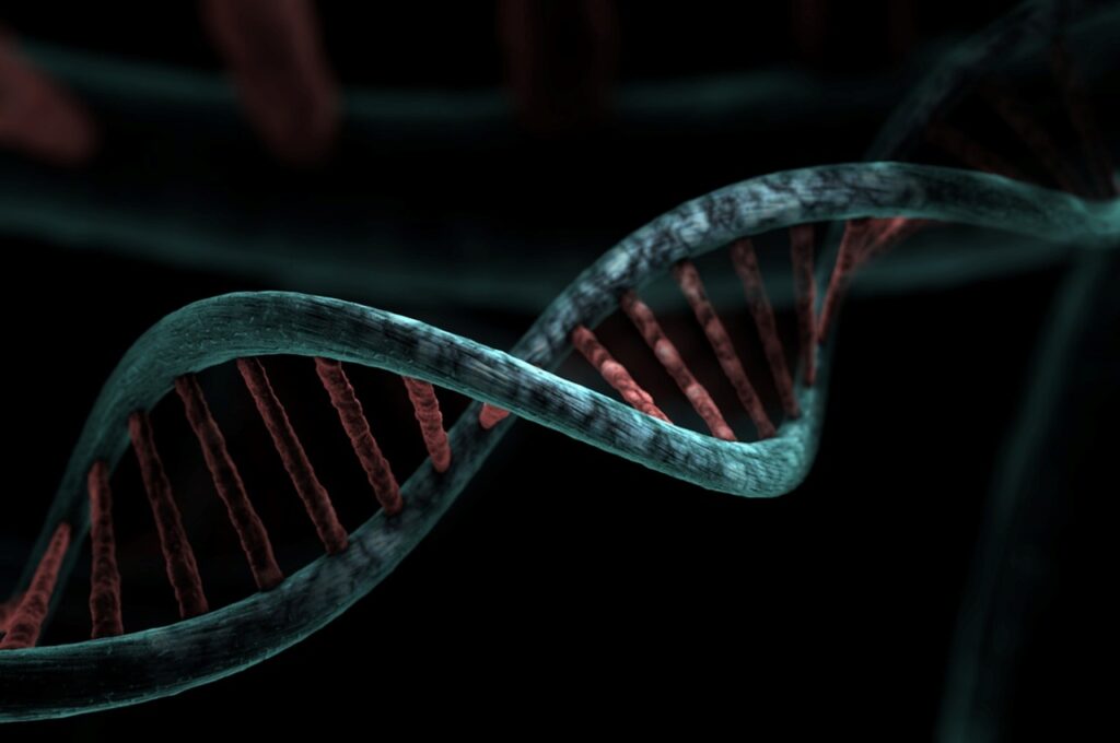 Picture of DNA strand